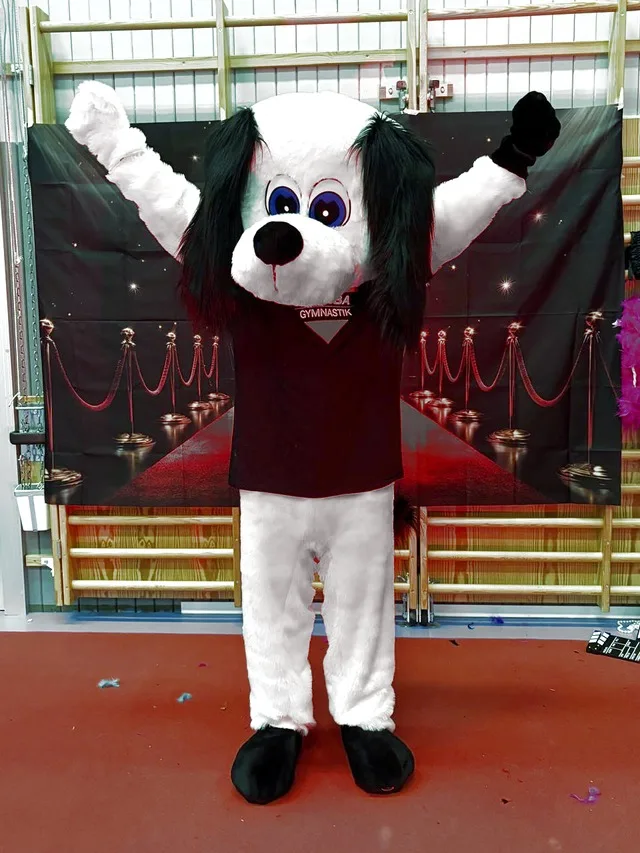 Tubbe, Tumba Gymnastiks maskot, en vit och svart hund med armarna i luften